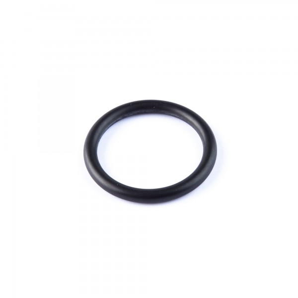 Junta torica an-19 24,99x3,53mm.(100)